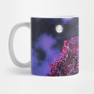 A Beautiful Full Moon Night Mug